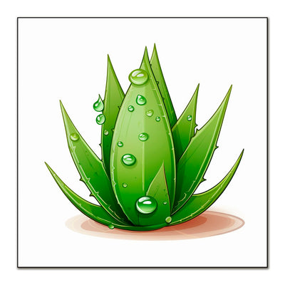 Sanfte Aloe Vera