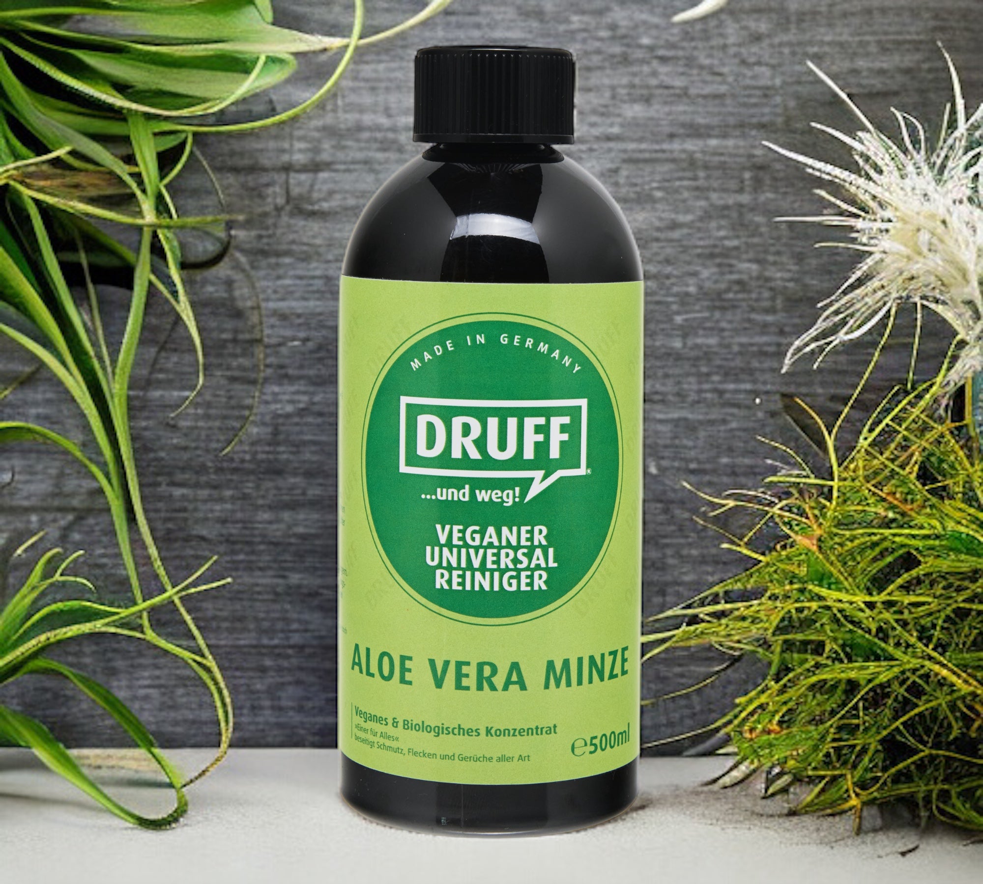 AloeVera.jpg